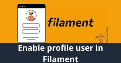 How to enable profile display for user in Filament