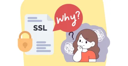 Cómo funcionan los certificados SSL y por qué son importantes para la seguridad web