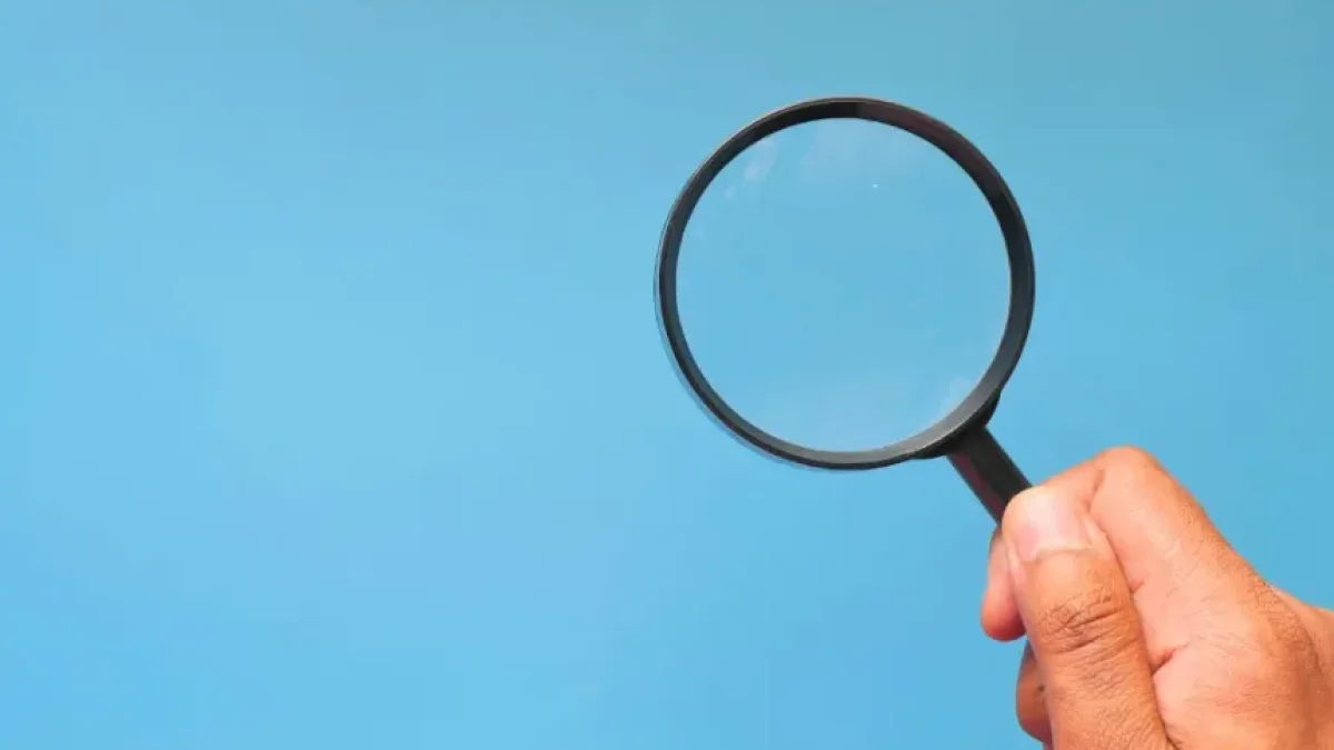 Crea un buscador en tiempo real para tus proyectos web