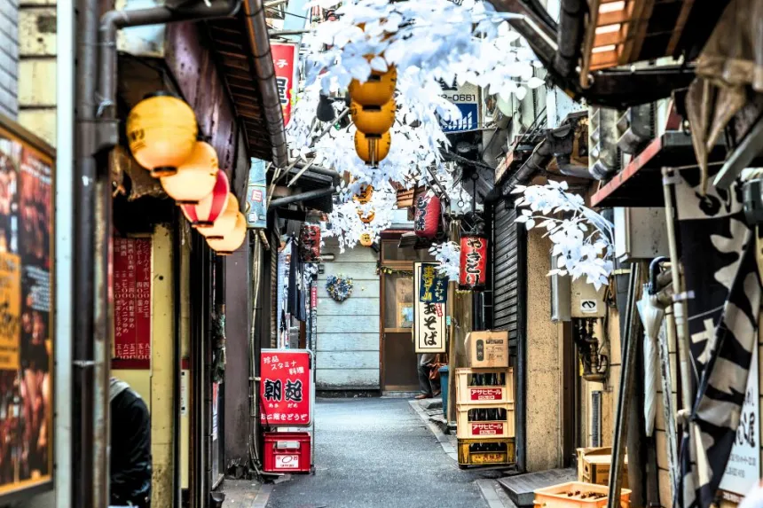 Japan faces loneliness and empty houses: the elderly crisis.