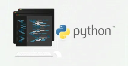 What is Python and Why is it So Important? A Beginner's Guide