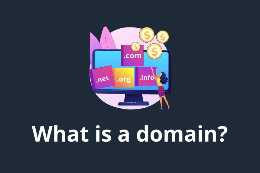 What is a domain and what is it for? A beginner's guide