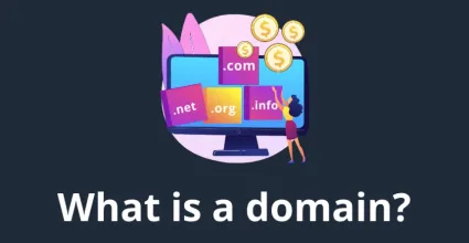 What is a domain and what is it for? A beginner's guide