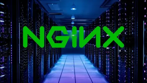 Todo lo que necesitas saber sobre NGINX en 2025